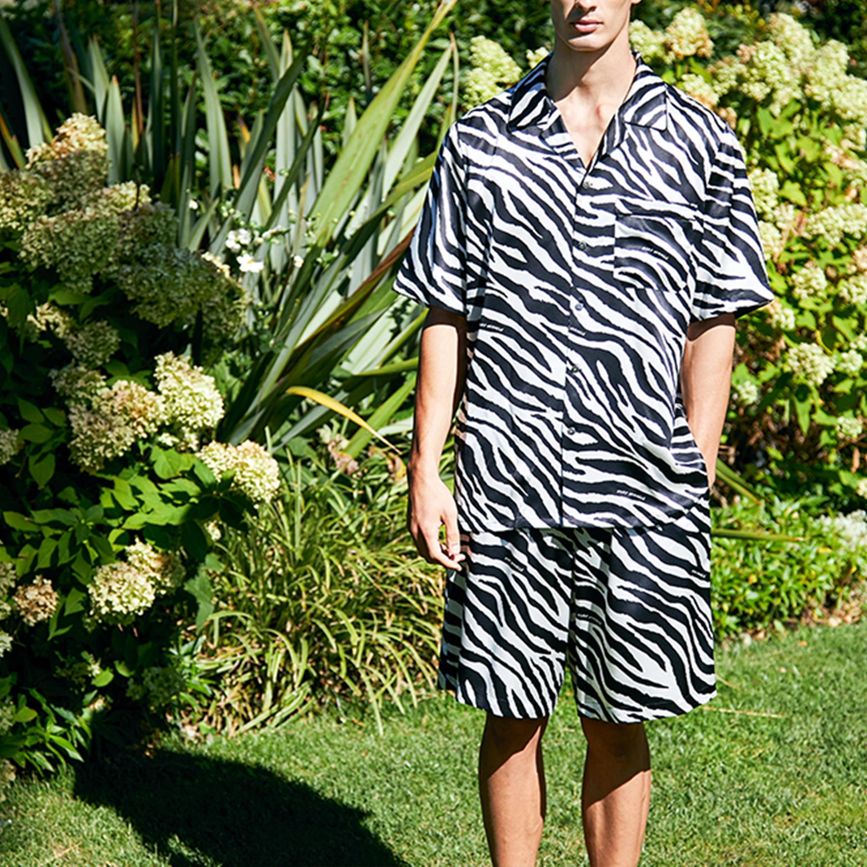 SILKY MIRACLE ZEBRA