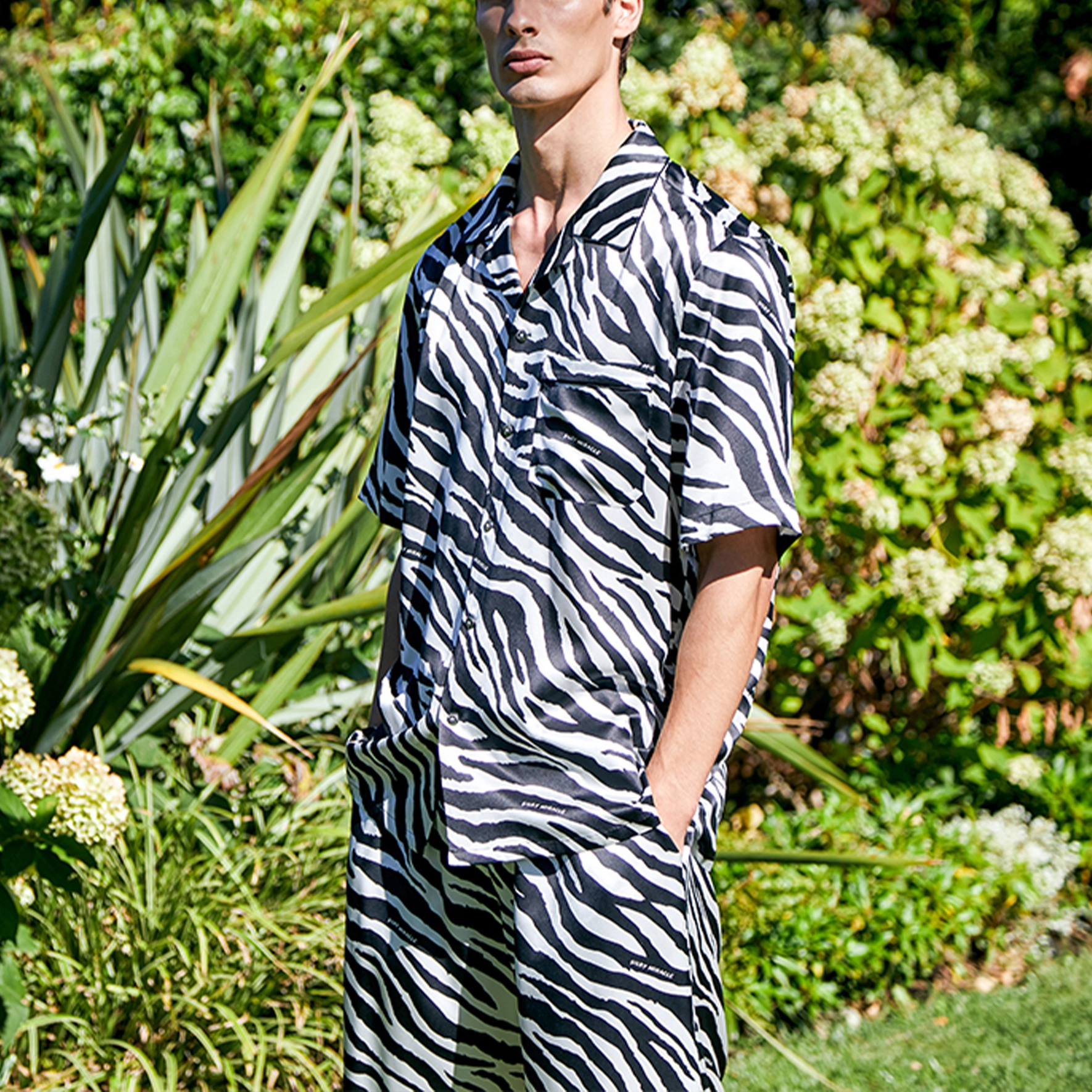 SILKY MIRACLE ZEBRA