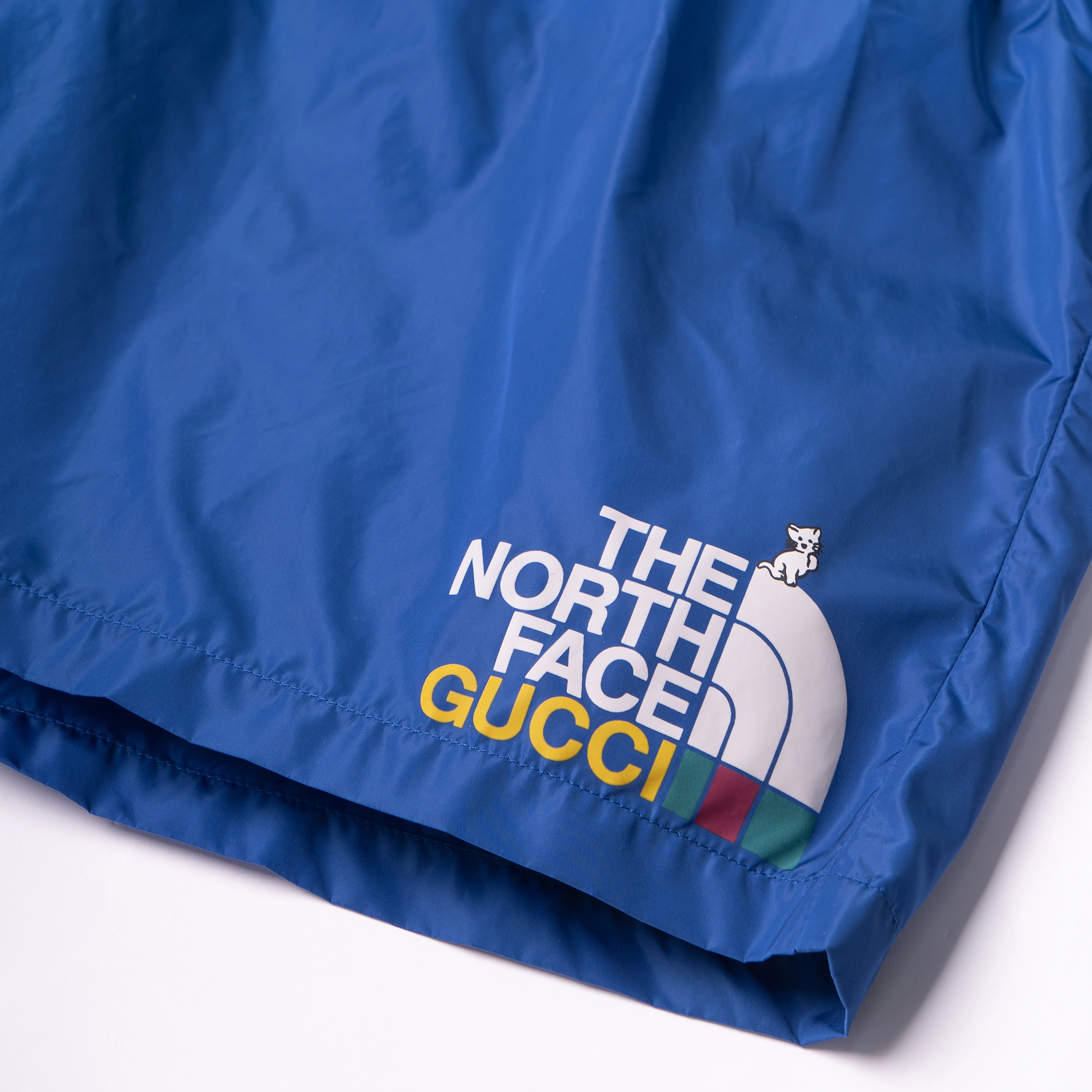 GUCCI x THE NORTH FACE SS23 Logo