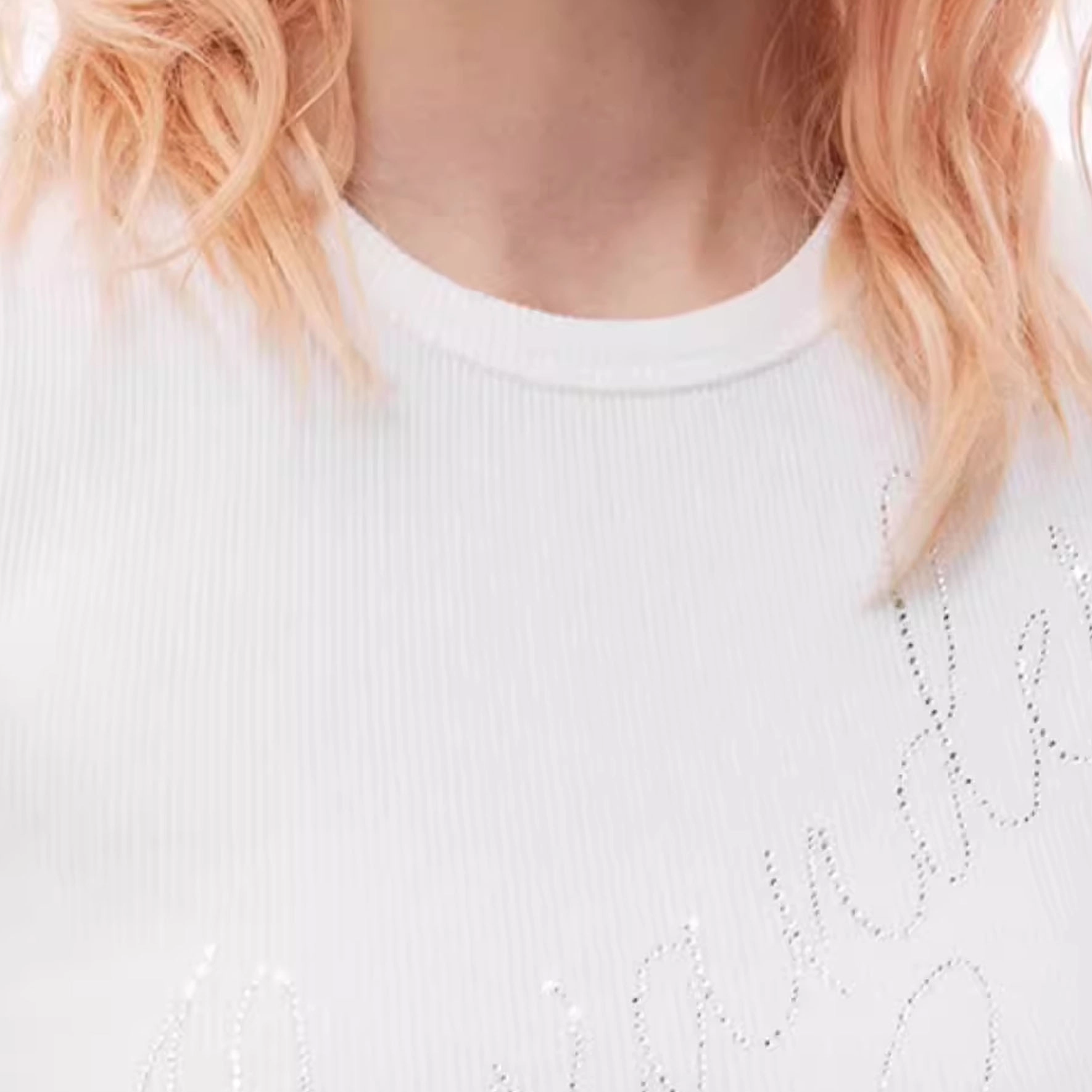 alexander wang FW24 T