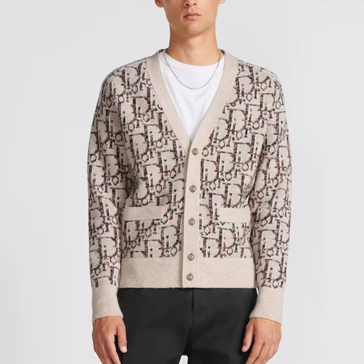 DIOR FW23 V