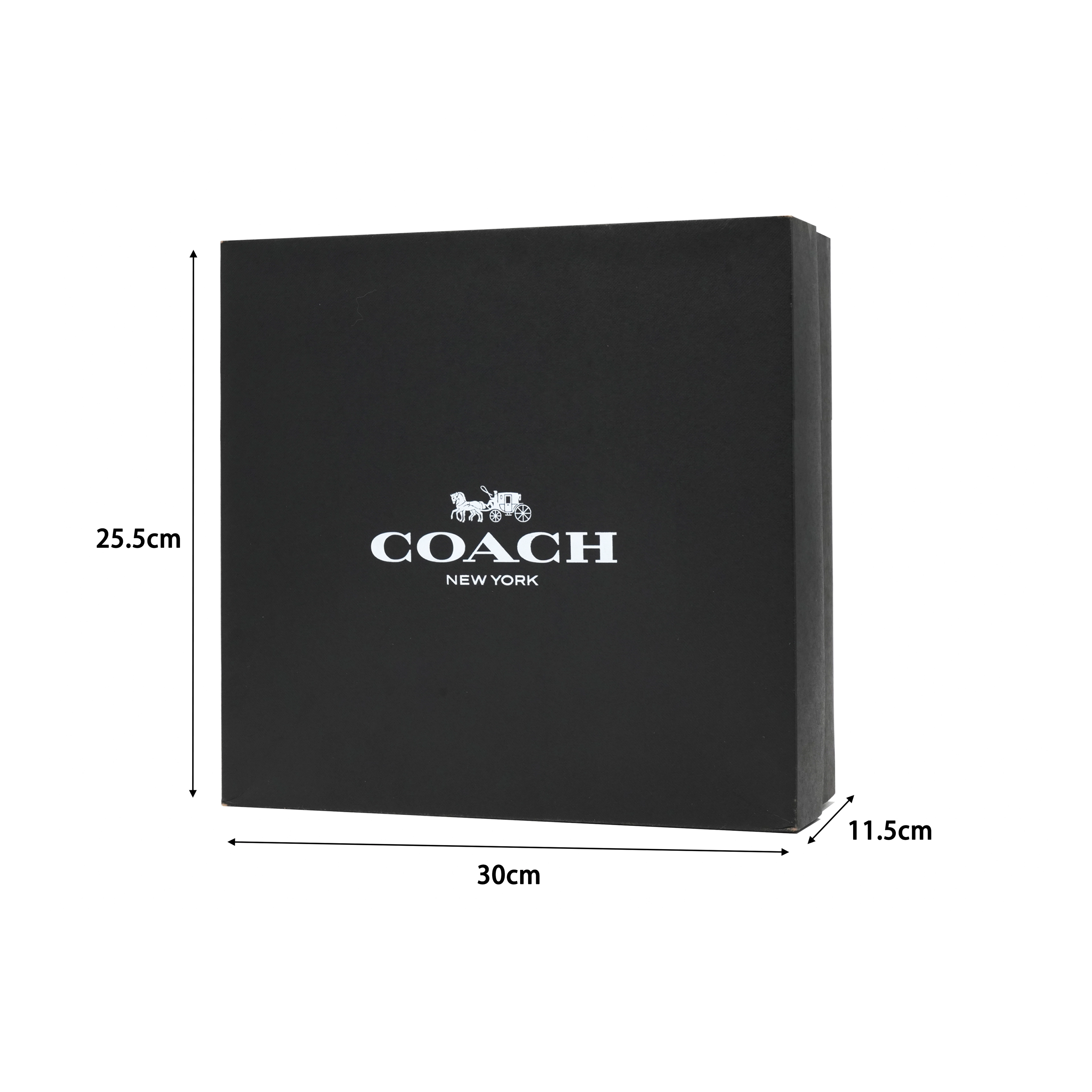 COACH Nolita 19
