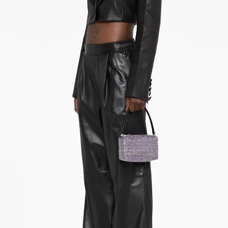 alexander wang