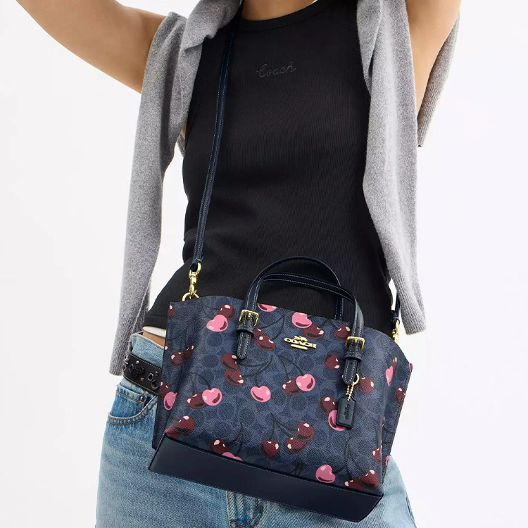 COACH Mollie 25 Tote