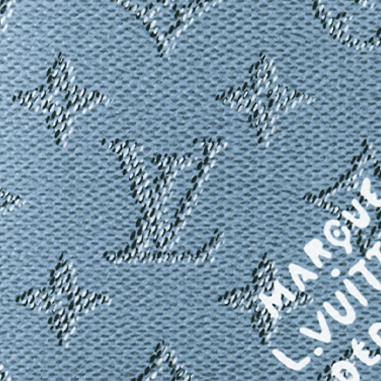LOUIS VUITTON Multiple Logo