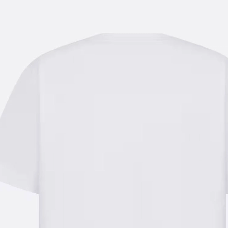 DIOR T