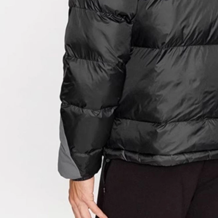 EMPORIO ARMANI EA7 FW23 Logo