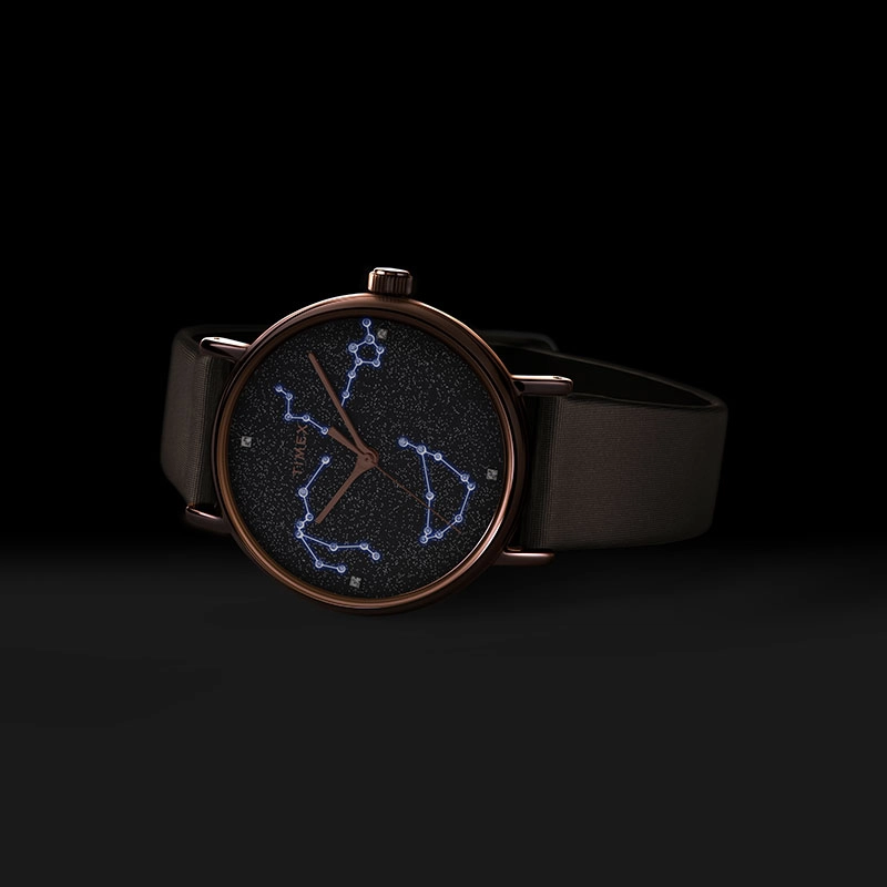 TIMEX TREND 37mm 50 TW2T87700