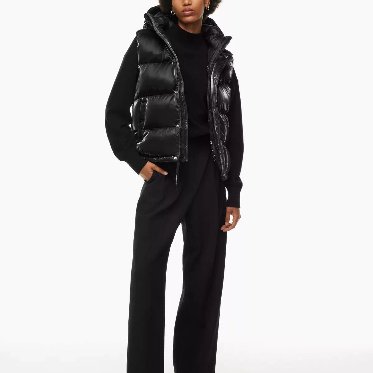 ARITZIA Super Puff Liquid Shine 5