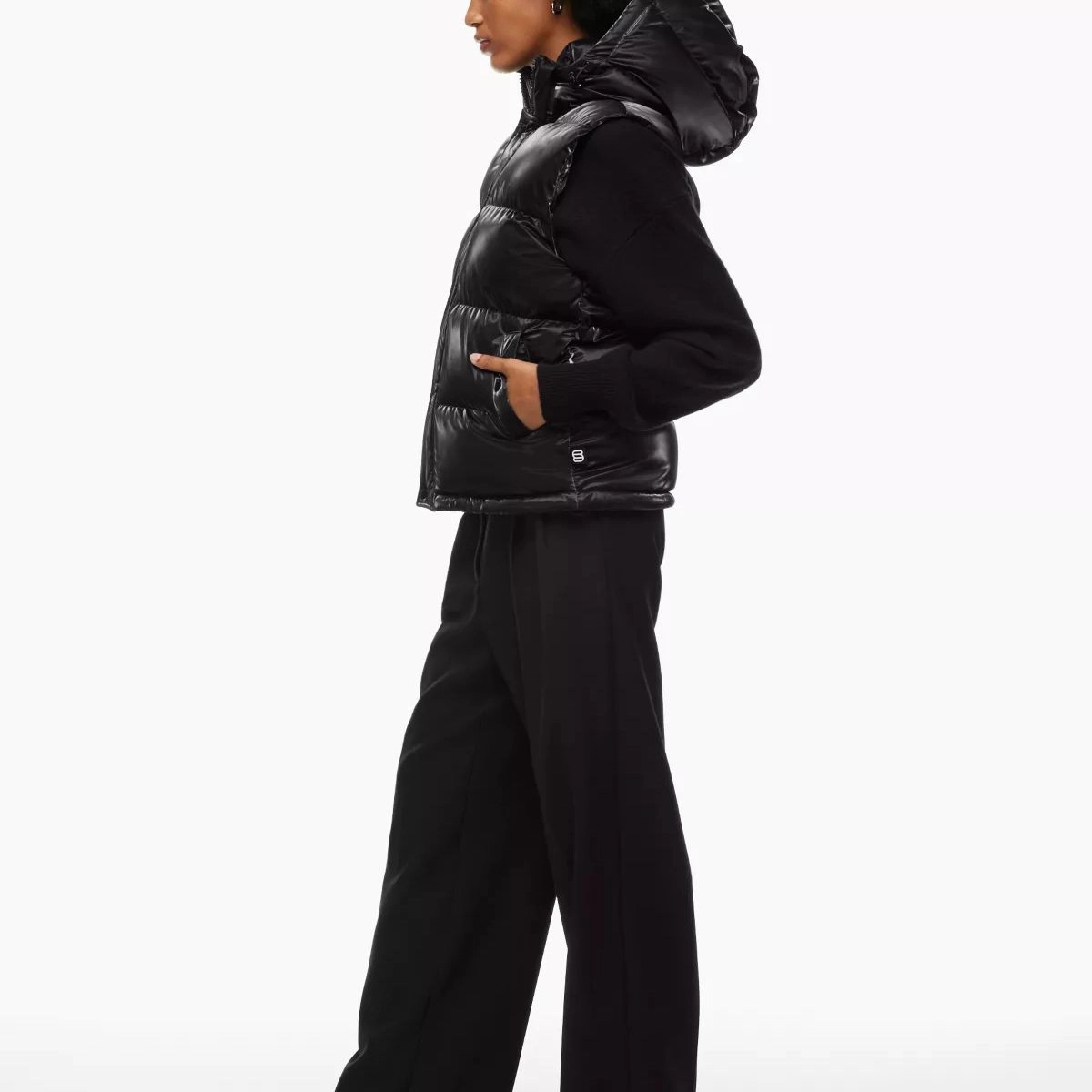 ARITZIA Super Puff Liquid Shine 5