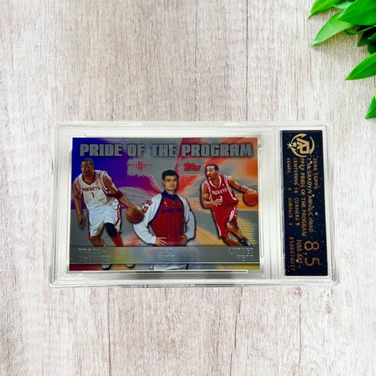 Topps 20063