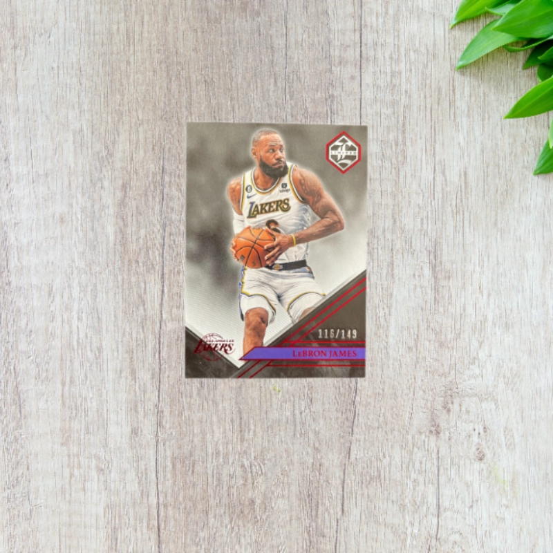 PANINI 2022-23 LeBron James 116149