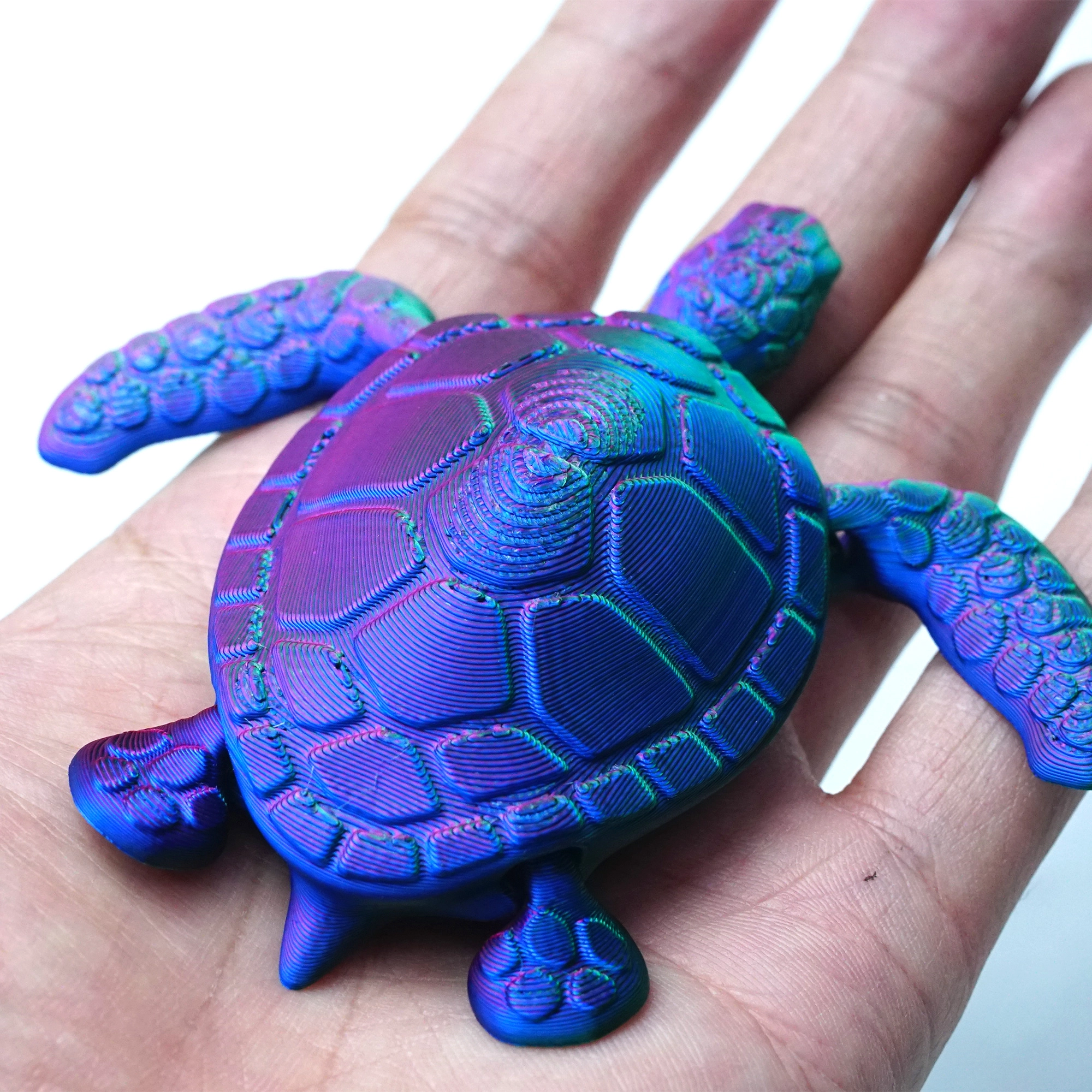 3D