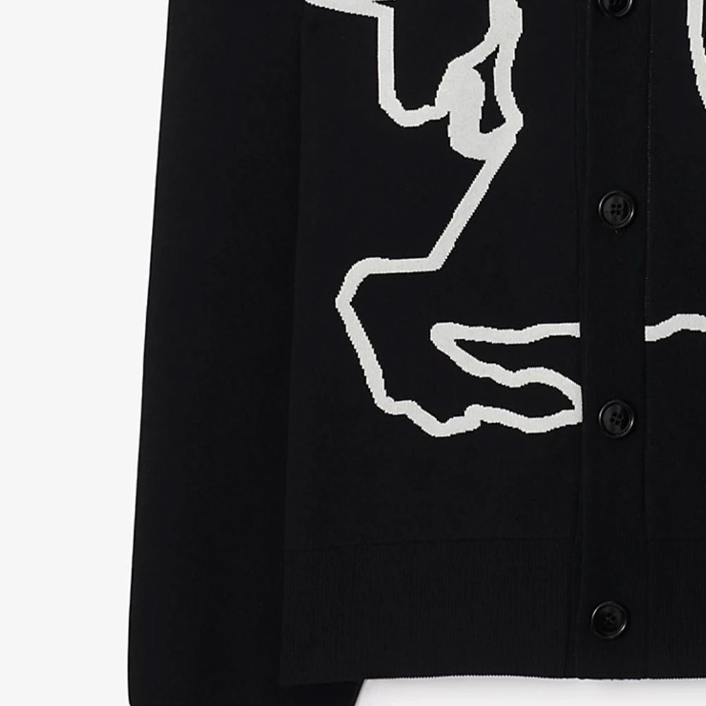 Burberry FW24 V
