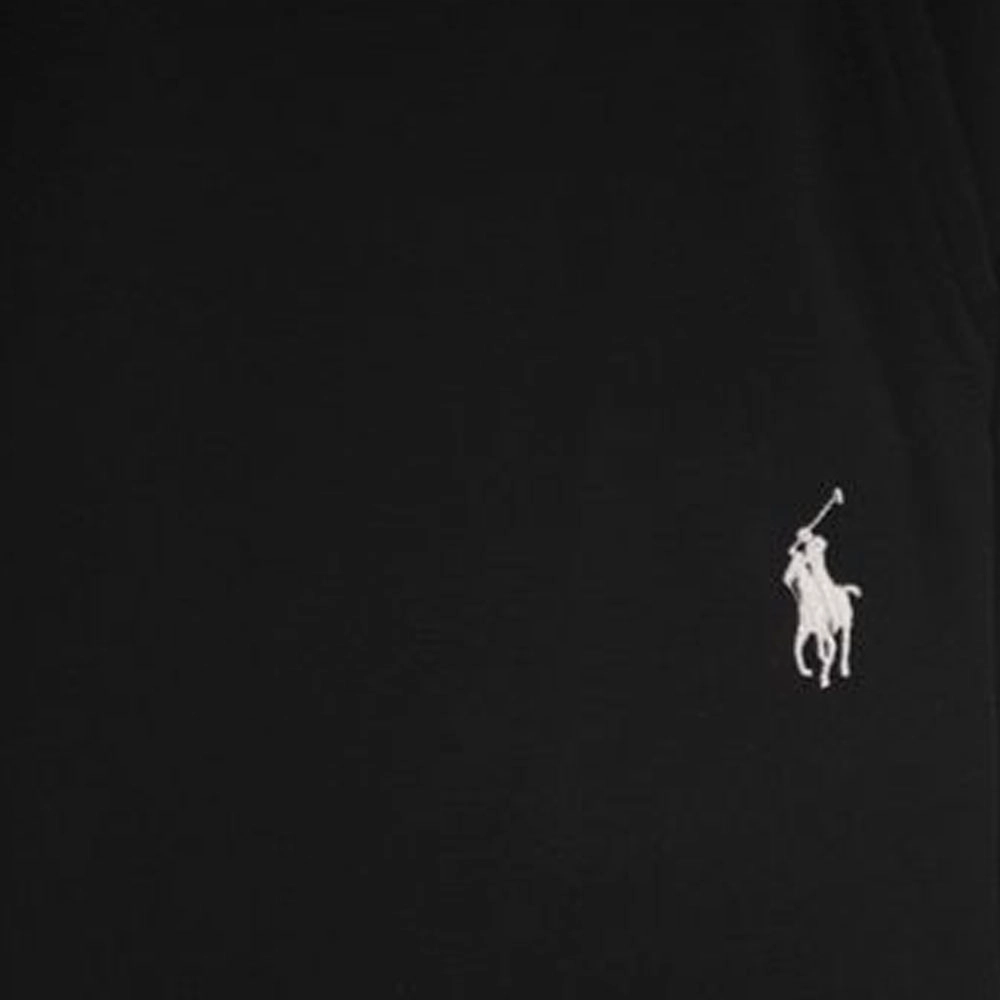 Polo Ralph Lauren SS23 Logo