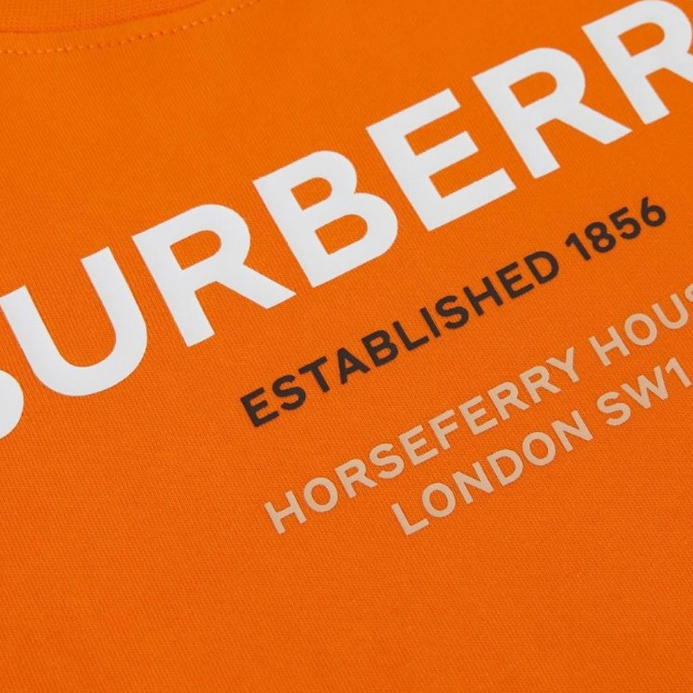 Burberry SS23 LogoT
