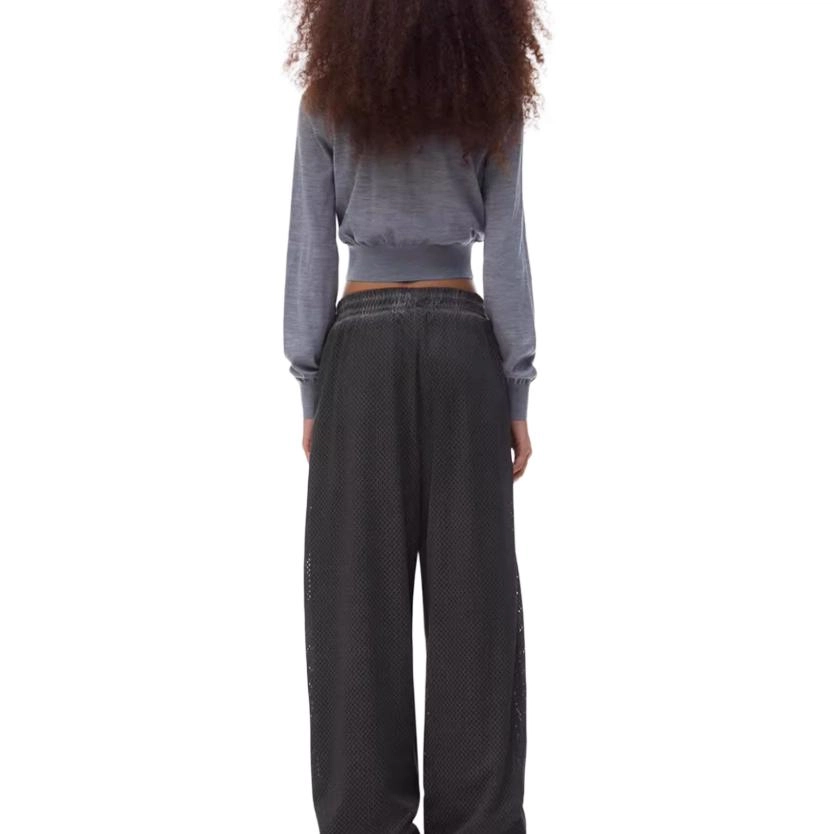 alexander wang FW24