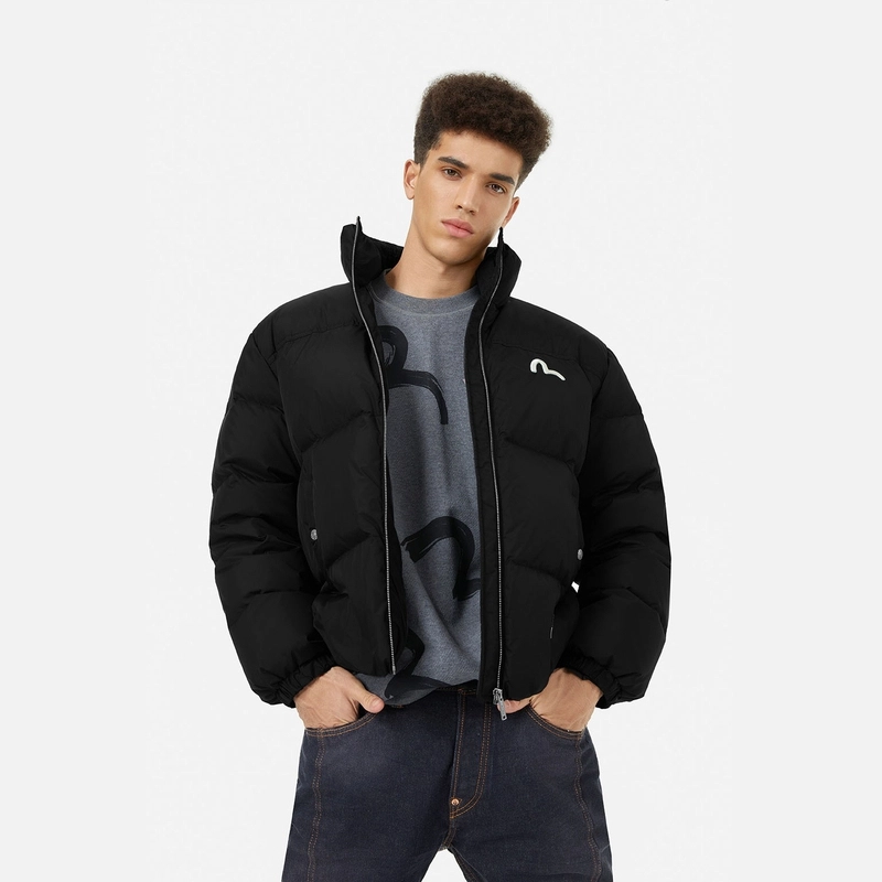 EVISU 2024