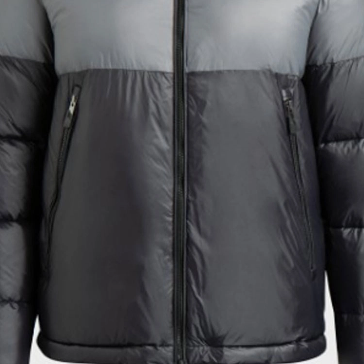 EMPORIO ARMANI EA7 Logo