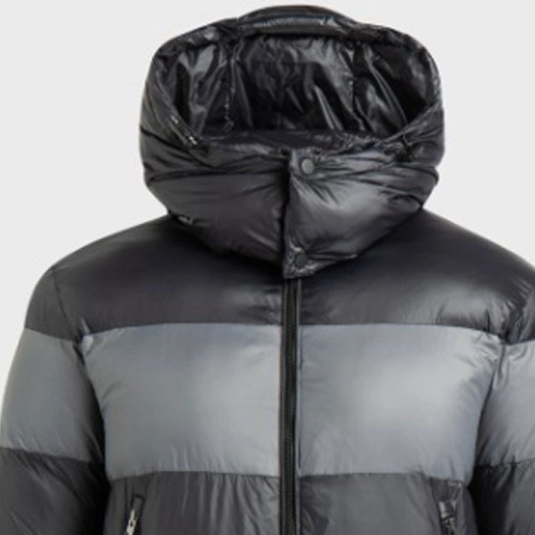 EMPORIO ARMANI EA7 Logo