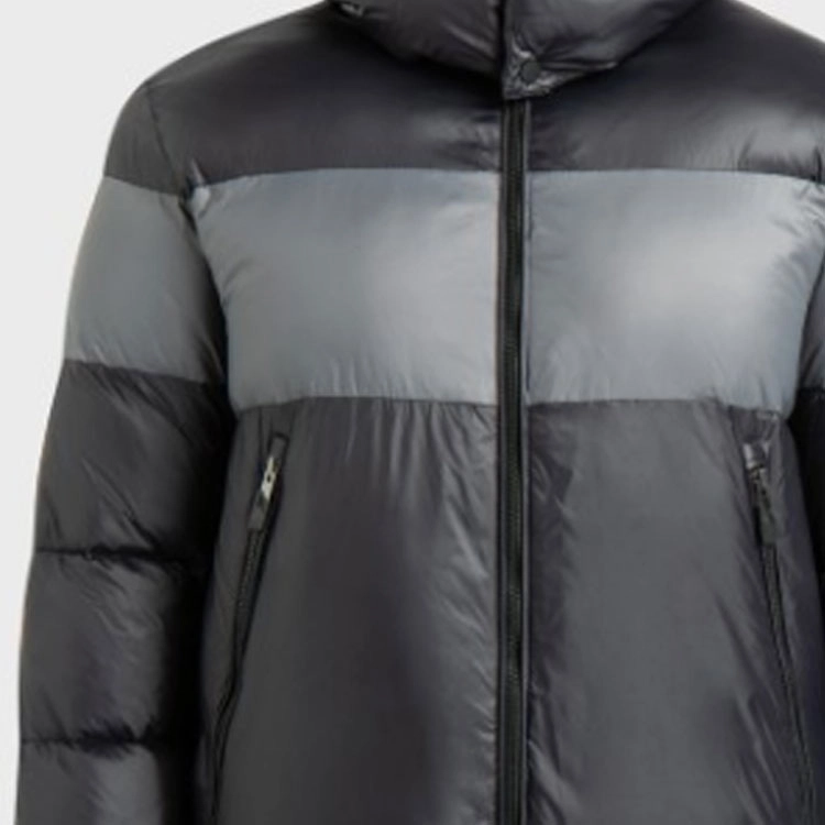 EMPORIO ARMANI EA7 Logo