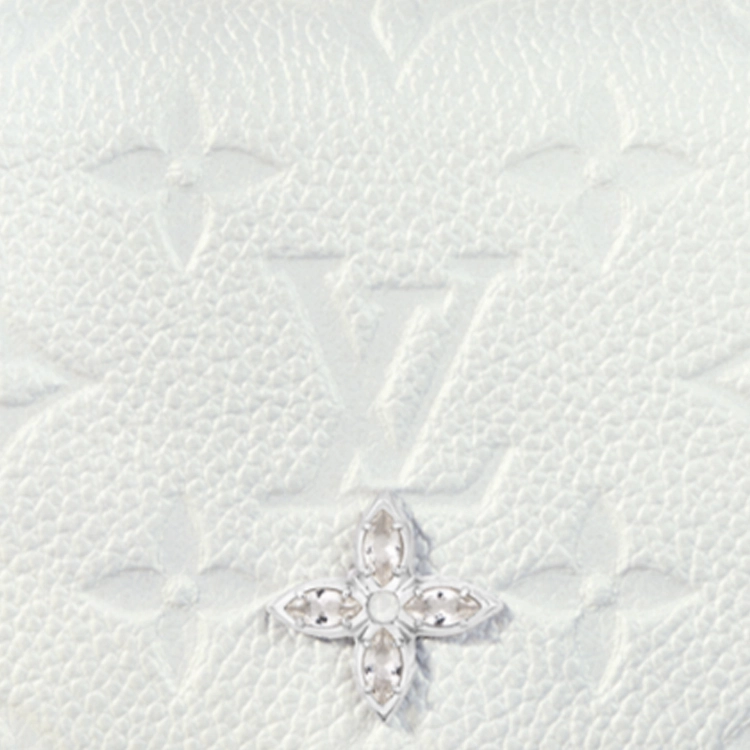 LOUIS VUITTON Ski
