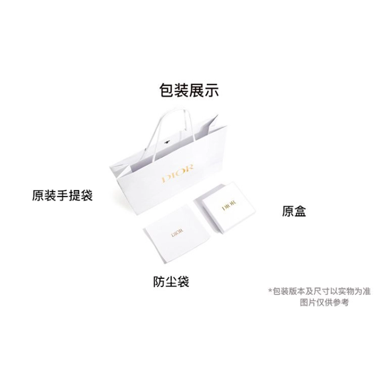 DIOR 30 Montaigne CD Oblique