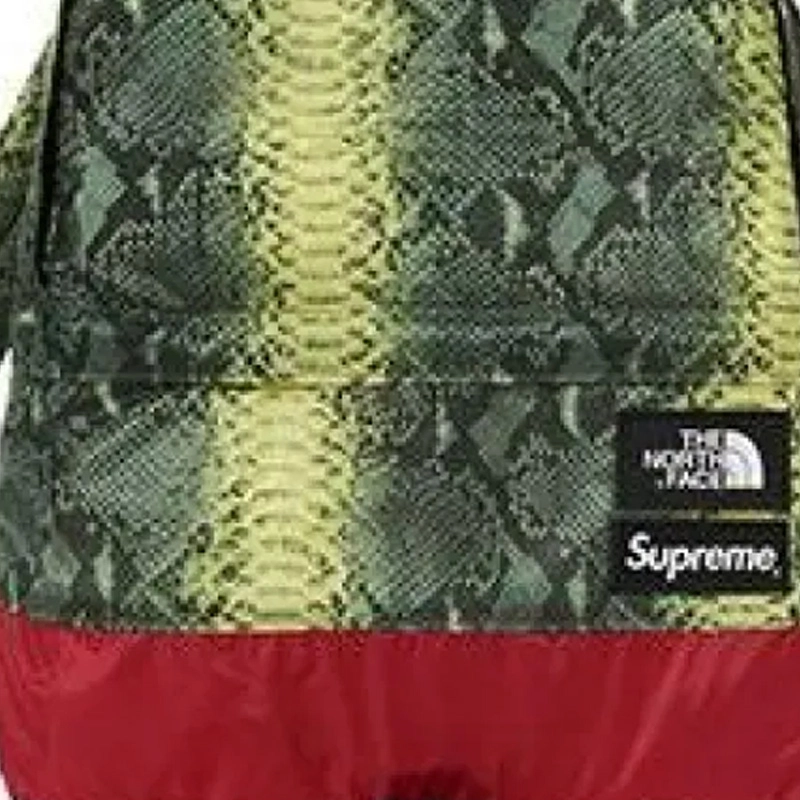 Supreme SS18 x The North Face LOGO