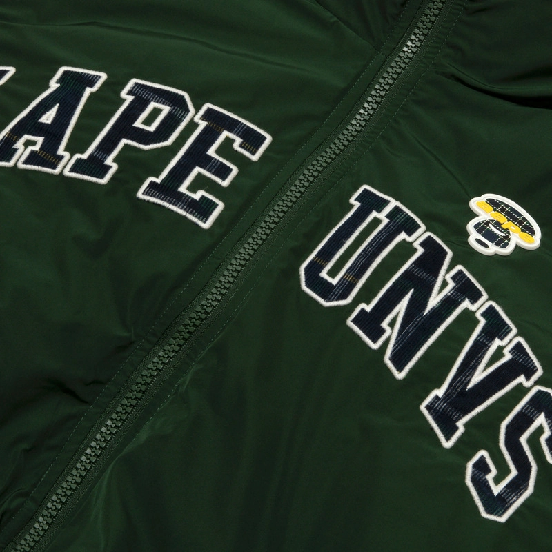 Aape