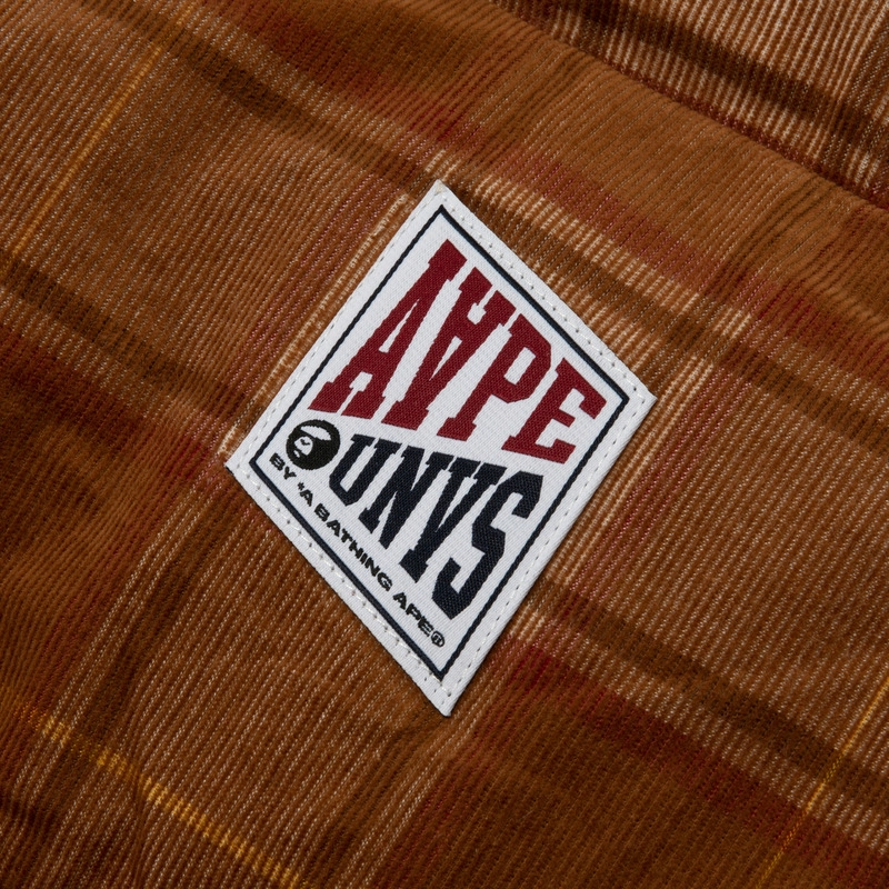 Aape