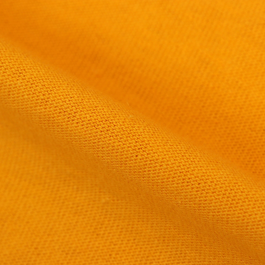 Champion Logopolo