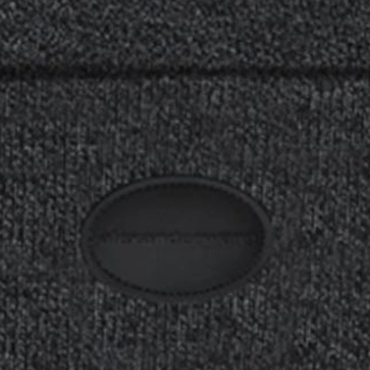alexander wang