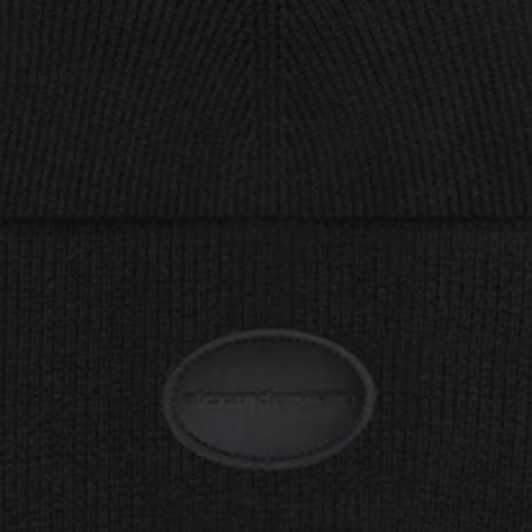 alexander wang