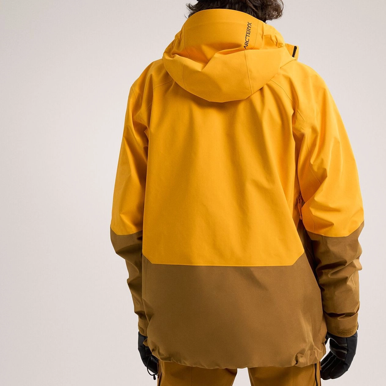 Arcteryx GORE-TEX PRO
