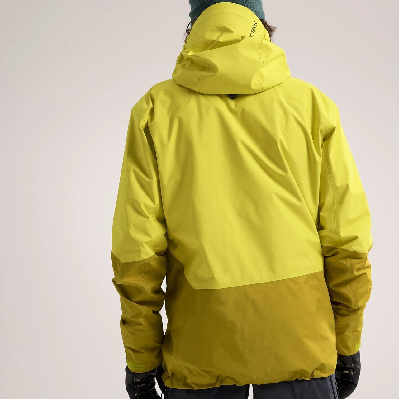 Arcteryx GORE-TEX PRO