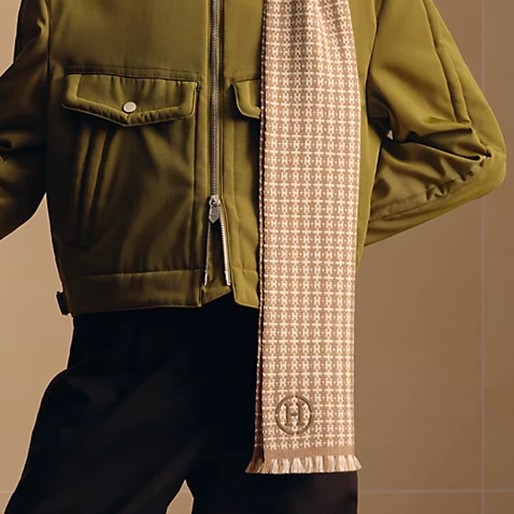 HERMES Graphique H