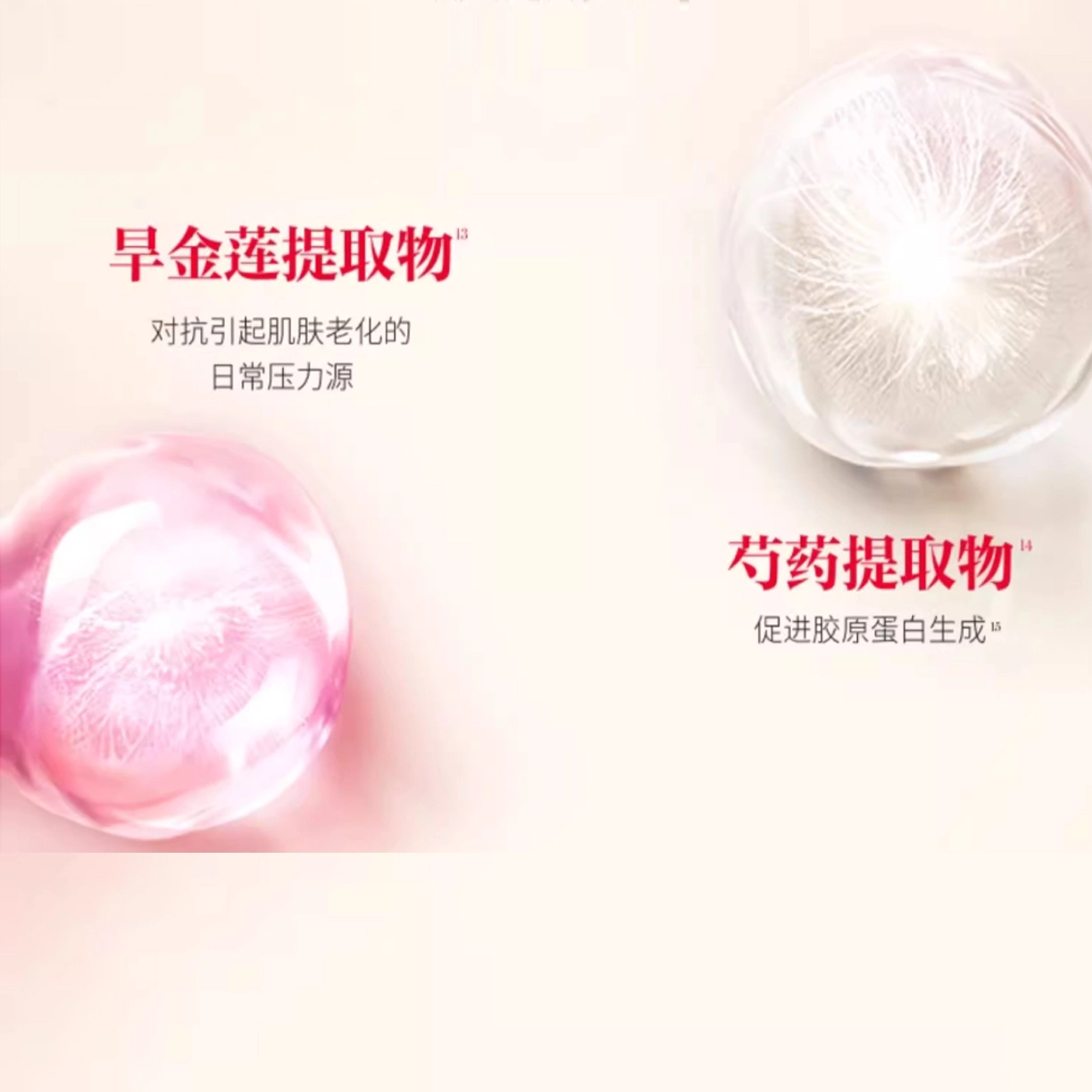 SK-II 50g