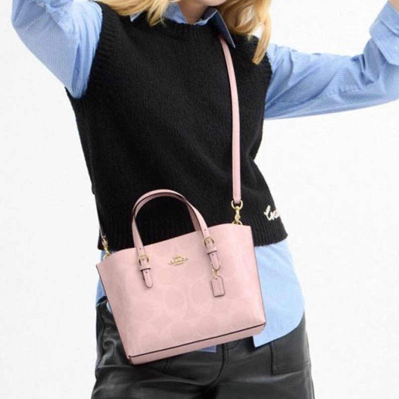 COACH Mollie 25 Tote