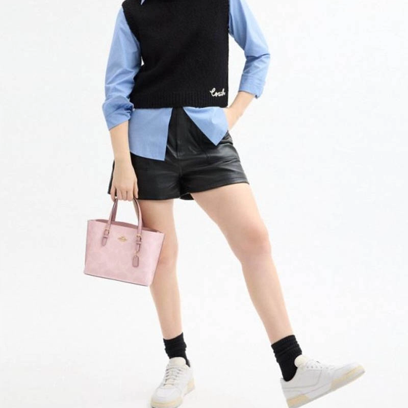 COACH Mollie 25 Tote