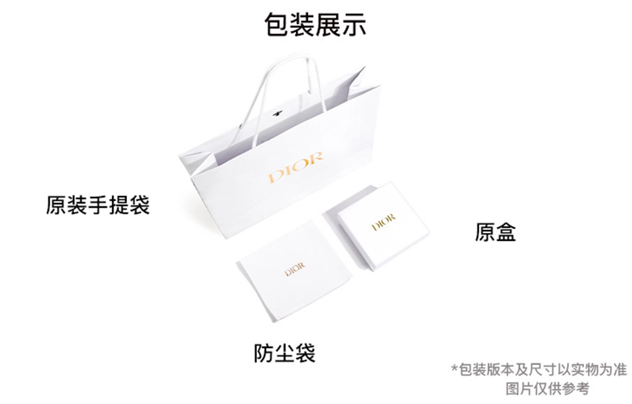 DIOR Toujours CD Lock Tote nano