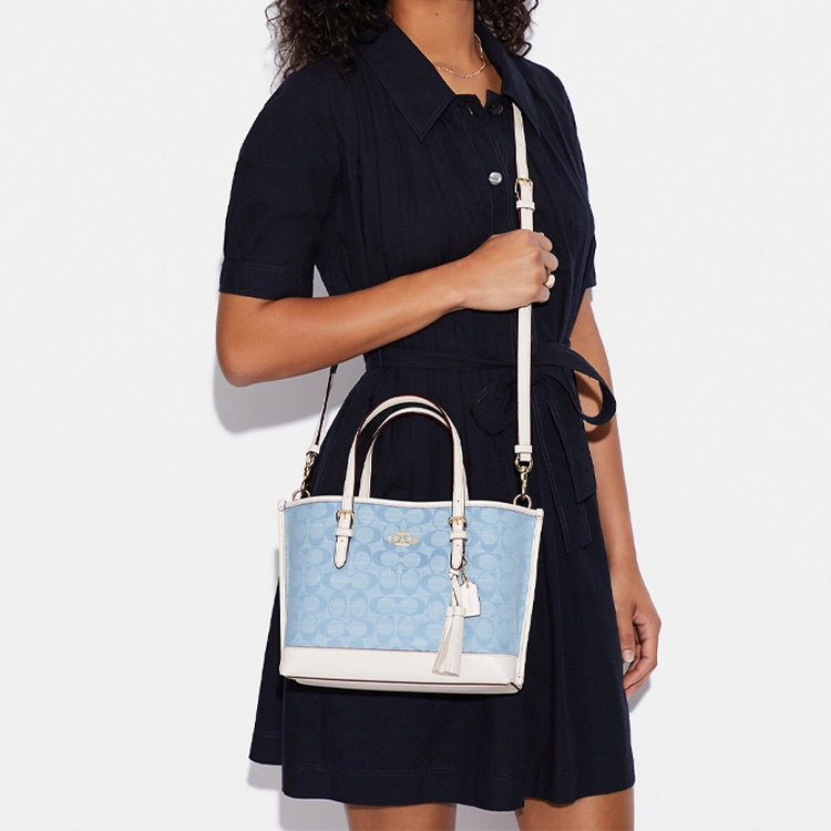COACH Mollie 25 Tote