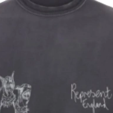 REPRESENT T
