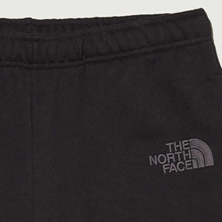 THE NORTH FACE x kaws FW22 TNF x KAWS logo