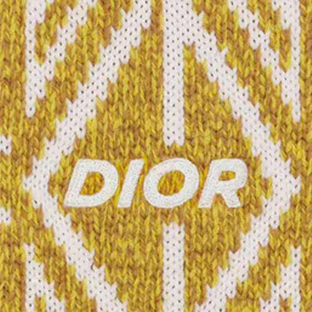 DIOR FW22
