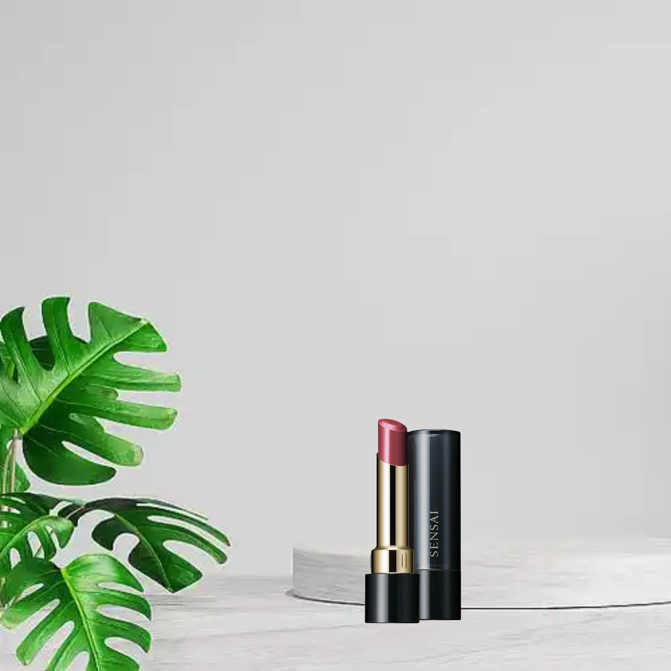 SENSAI 3.7g