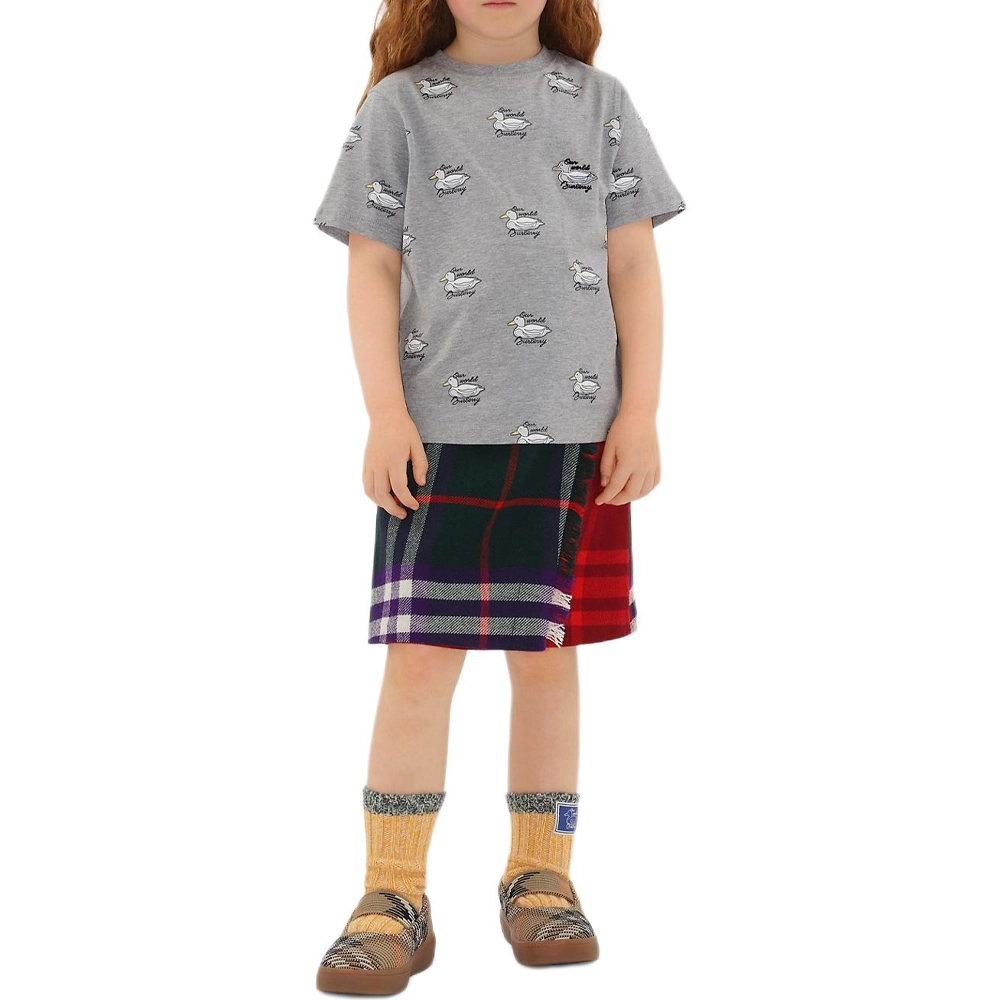 Burberry FW24 T
