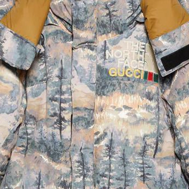 GUCCI GUCCI x THE NORTH FACE Logo