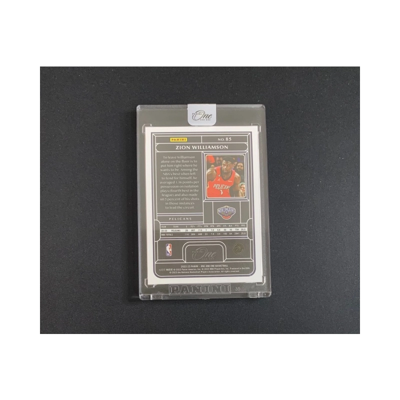 PANINI 2022-23 One And One 6299