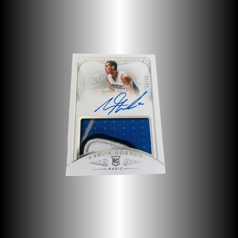 PANINI 14-15 RPA RC Patch