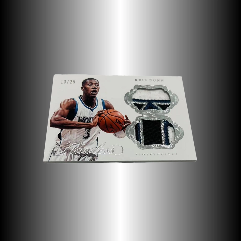 PANINI 16-17 Patch 25